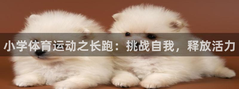 中欧体育zoty下载